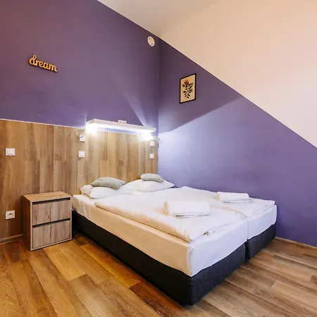 Auberge de jeunesse Dream